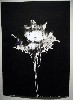 A print by Piene.