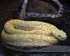 Don’t Tread on Them