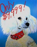 Only $9,999! - by: Randy Stevens