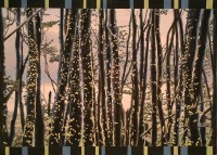 Ushuaia Trees - by: Robert Morgan